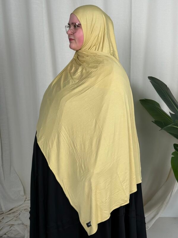 image00027 Butter Gelb