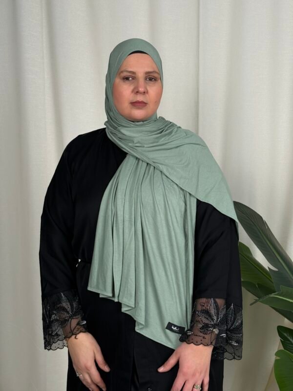 image00051 Grun Hell