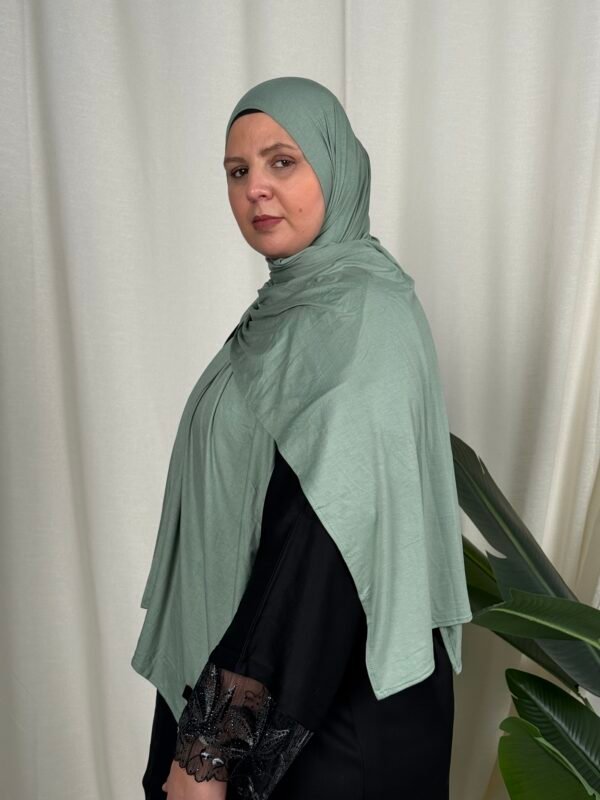 image00052 Grun Hell