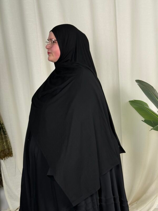 image00061 One Loop Schwarz