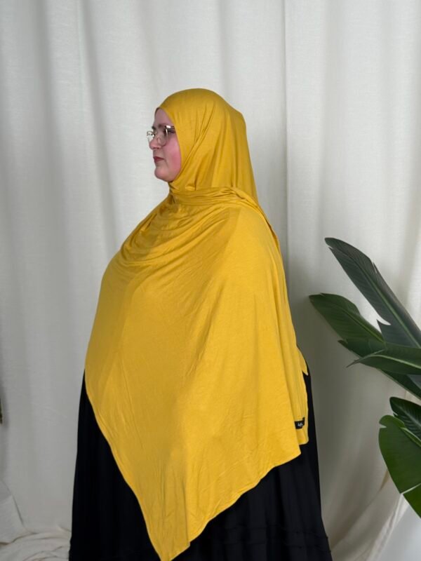 image00071 Senf Gelb