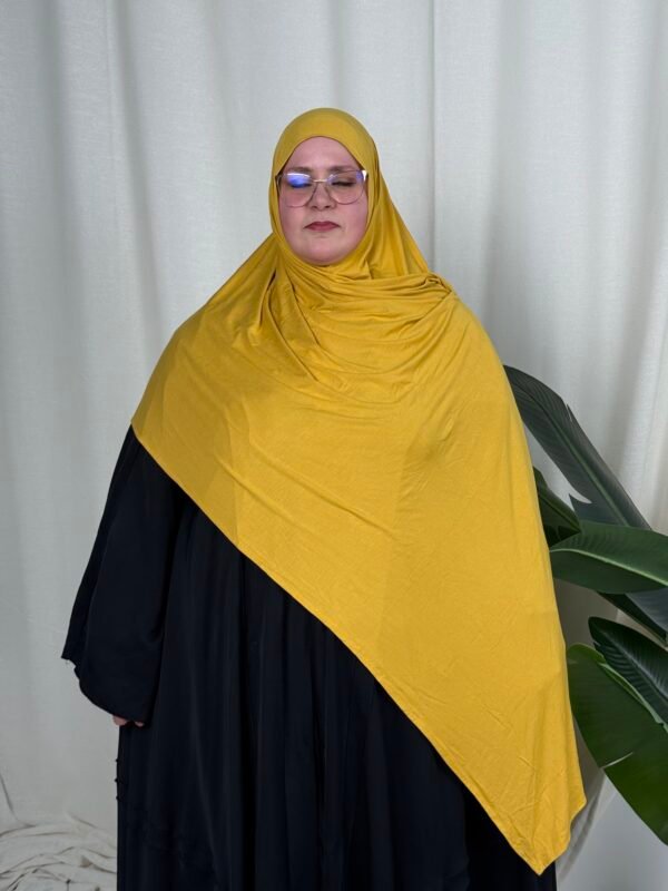 image00072 Senf Gelb