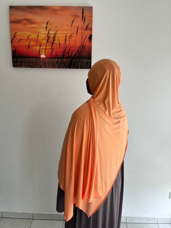 Liquid Jersey Pastell Orange