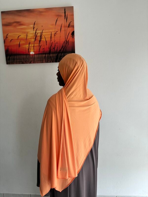 Liquid Jersey Pastell Orange