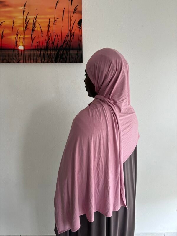 Bamboo Jersey Powder Pink