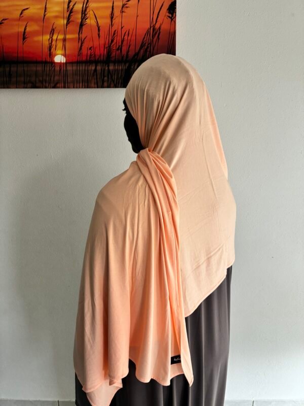 Bamboo Jersey Pastel Orange