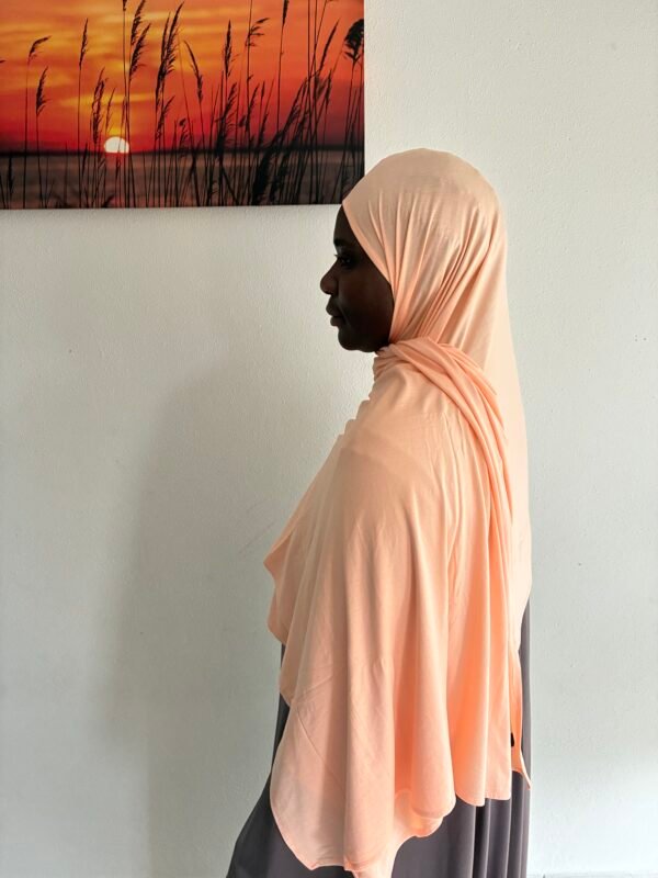Bamboo Jersey Pastel Orange
