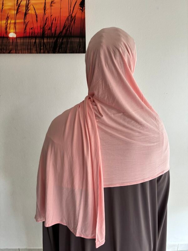 Bamboo Jersey Rosa
