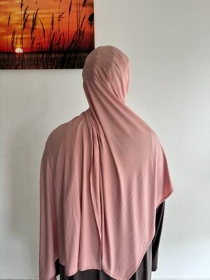 Bamboo Jersey Rosa Apricot