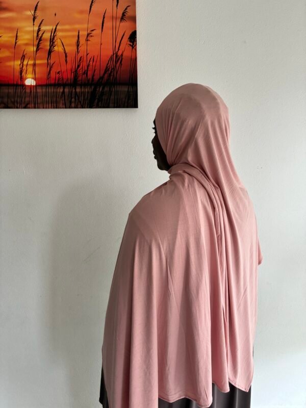 Bamboo Jersey Rosa Apricot