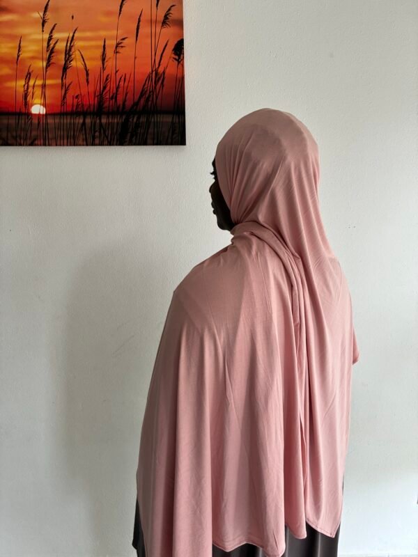 Bamboo Jersey Rosa Apricot