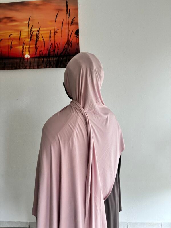 Bamboo Jersey light Rosa