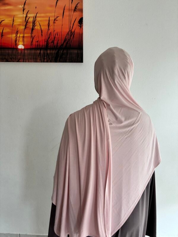 Bamboo Jersey light Rosa