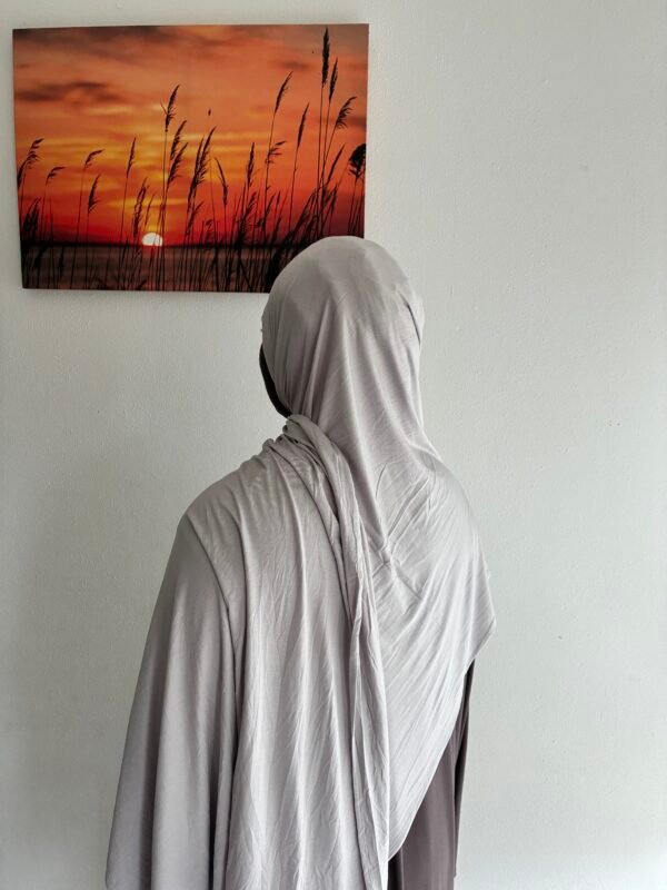 Bamboo Jersey light Gray