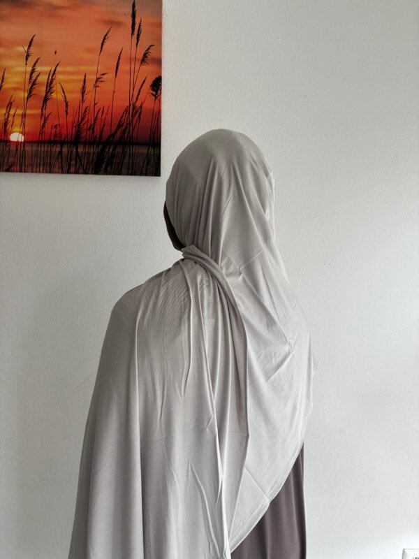 Bamboo Jersey light Gray