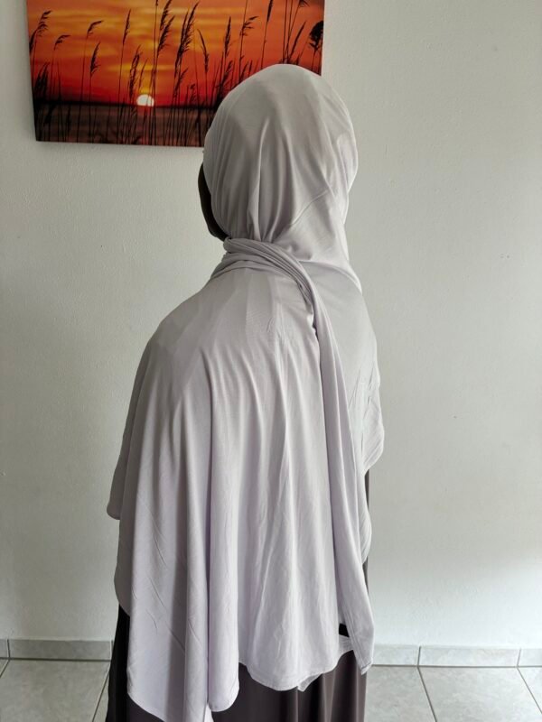 Bamboo Jersey light warm Gray