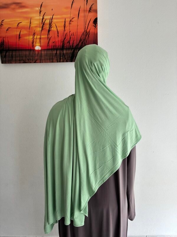 Bamboo Jersey Sage