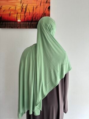 Bamboo Jersey Sage
