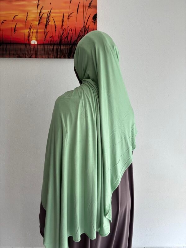Bamboo Jersey Sage