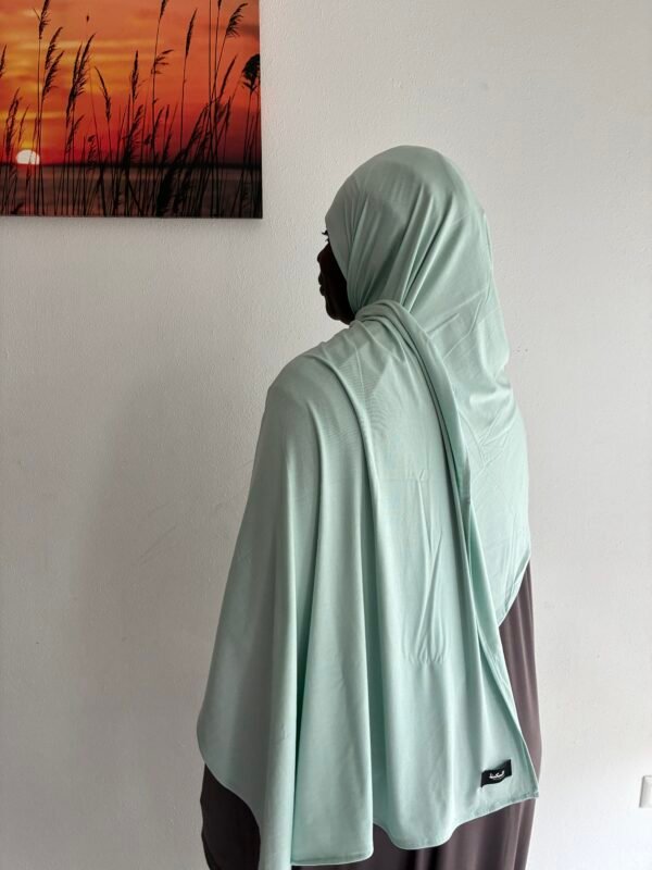 IMG_0924 Bamboo Jersey pastel green