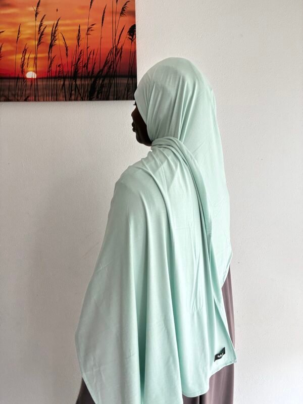 IMG_0926 Bamboo Jersey pastel green