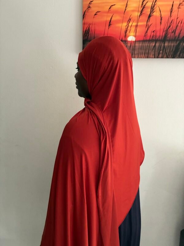 Liquid Jersey ruby Red