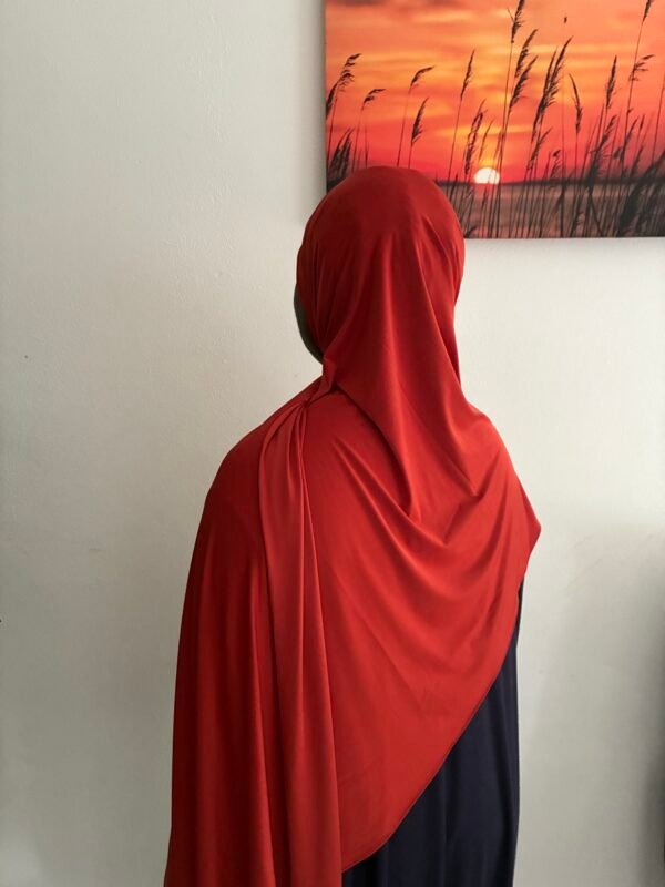 Liquid Jersey ruby Red